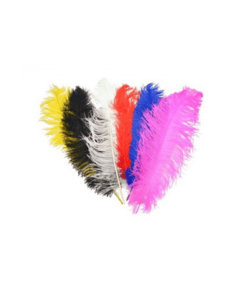 50 PLUMES DIFFERENTS COULEURS