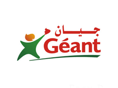 geant-logo.jpg